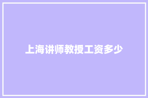 上海讲师教授工资多少