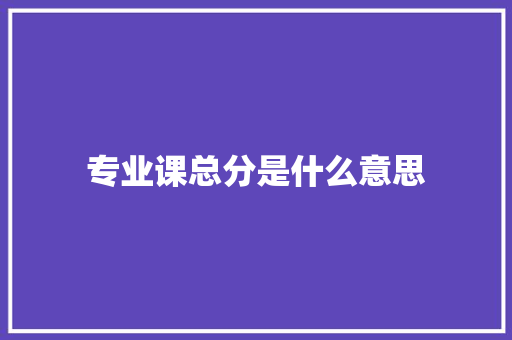 专业课总分是什么意思