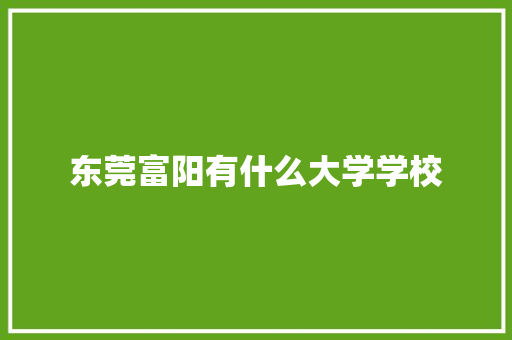 东莞富阳有什么大学学校