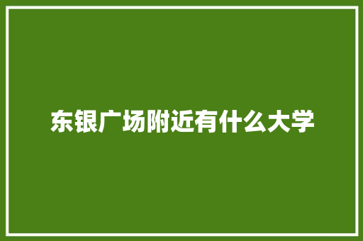 东银广场附近有什么大学