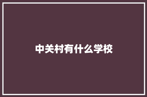 中关村有什么学校