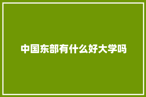 中国东部有什么好大学吗 范文资源