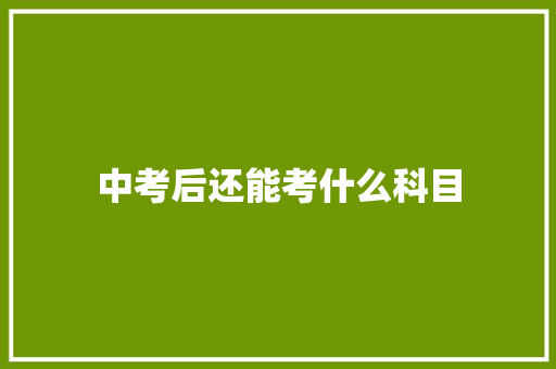 中考后还能考什么科目