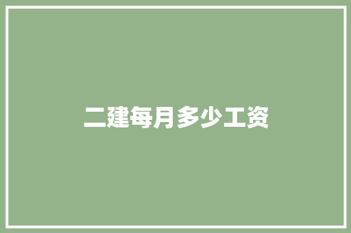 二建每月多少工资
