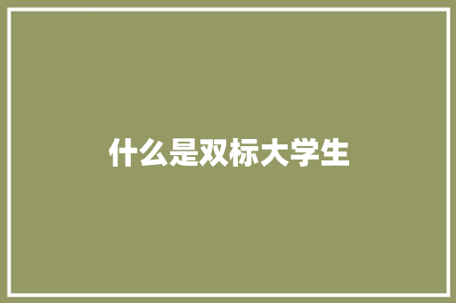 什么是双标大学生