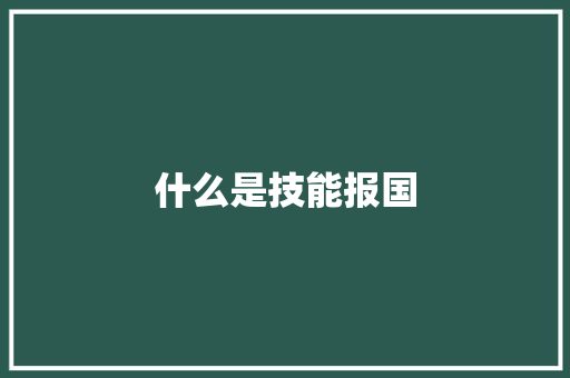 什么是技能报国