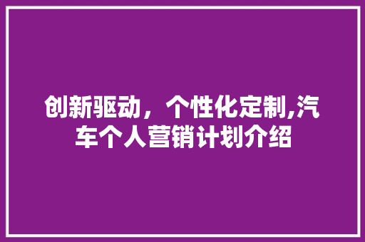 创新驱动，个性化定制,汽车个人营销计划介绍