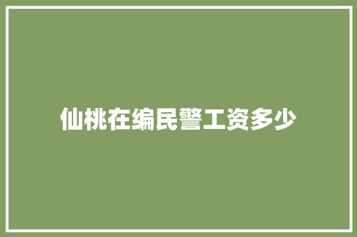 仙桃在编民警工资多少