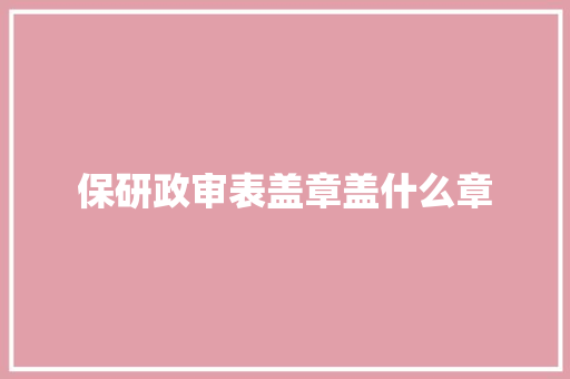 保研政审表盖章盖什么章