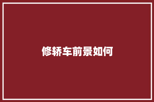 修轿车前景如何