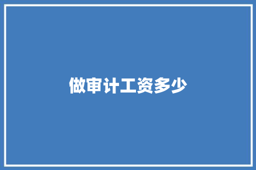 做审计工资多少