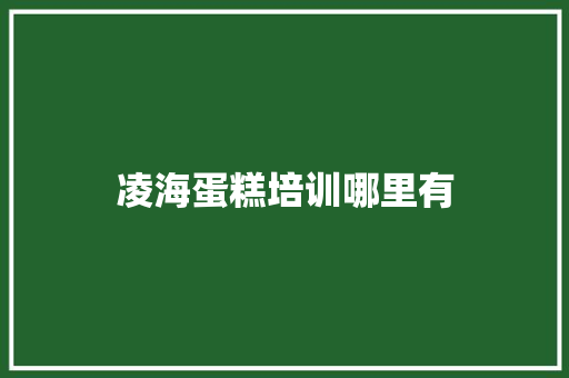 凌海蛋糕培训哪里有
