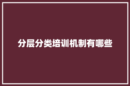 分层分类培训机制有哪些
