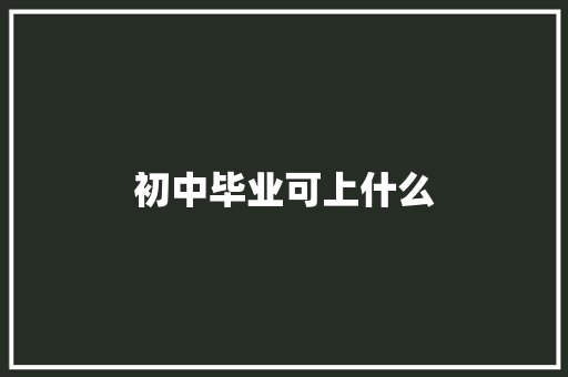 初中毕业可上什么