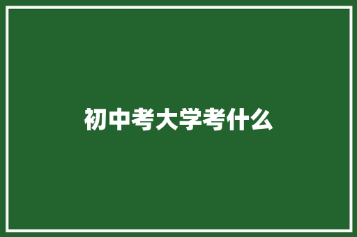 初中考大学考什么