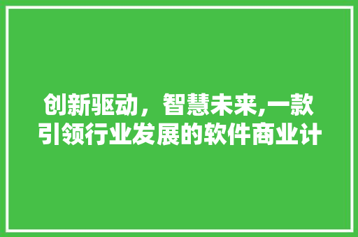 创新驱动，智慧未来,一款引领行业发展的软件商业计划书介绍