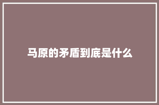 马原的矛盾到底是什么