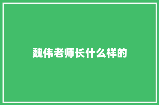 魏伟老师长什么样的