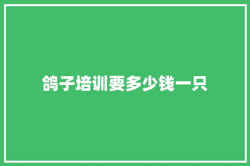 鸽子培训要多少钱一只