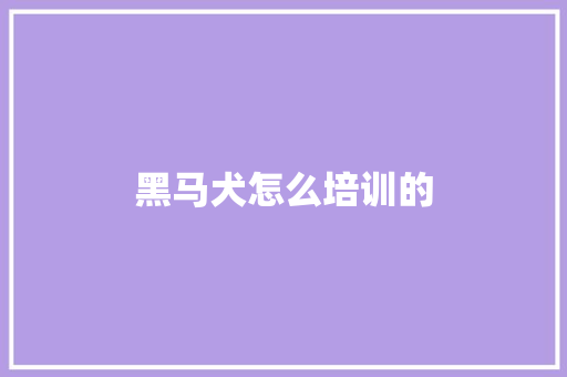 黑马犬怎么培训的