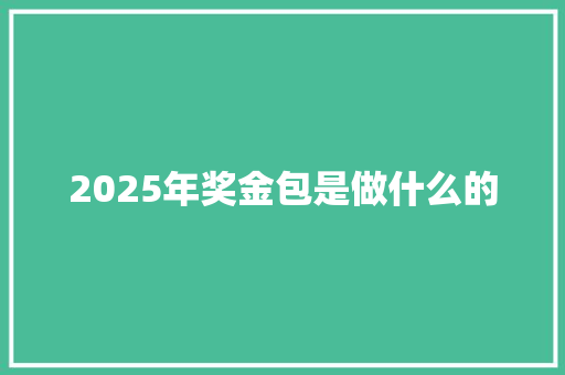 2025年奖金包是做什么的