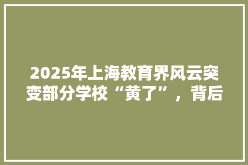 2025年上海教育界风云突变部分学校“黄了”，背后的原因及影响探析