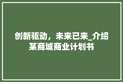 创新驱动，未来已来_介绍某商城商业计划书