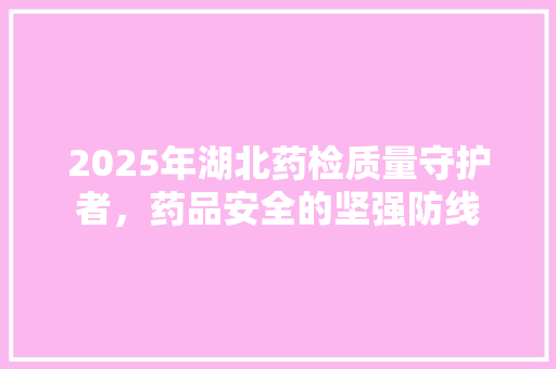 2025年湖北药检质量守护者，药品安全的坚强防线