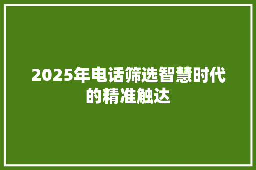 2025年电话筛选智慧时代的精准触达