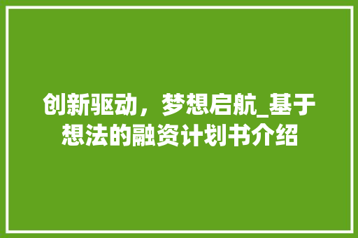 创新驱动，梦想启航_基于想法的融资计划书介绍