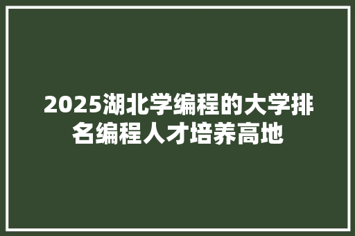 2025湖北学编程的大学排名编程人才培养高地