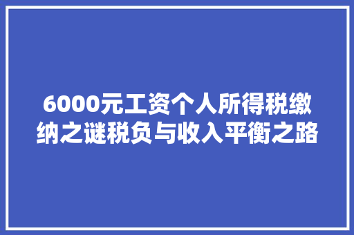 6000元工资个人所得税缴纳之谜税负与收入平衡之路