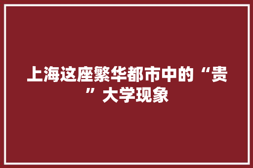 上海这座繁华都市中的“贵”大学现象