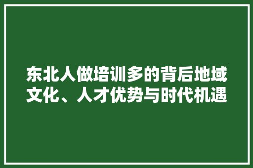 东北人做培训多的背后地域文化、人才优势与时代机遇