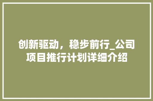 创新驱动，稳步前行_公司项目推行计划详细介绍