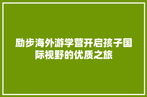 励步海外游学营开启孩子国际视野的优质之旅