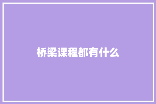 桥梁课程都有什么
