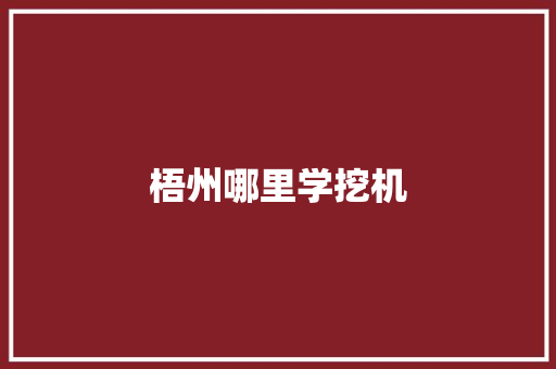 梧州哪里学挖机
