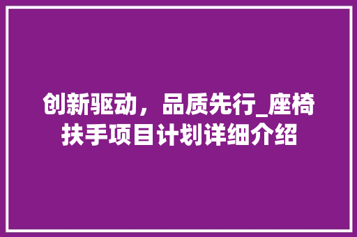 创新驱动，品质先行_座椅扶手项目计划详细介绍