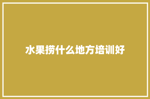 水果捞什么地方培训好