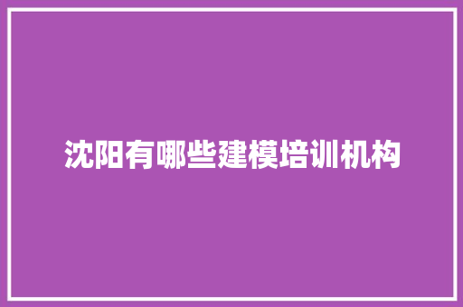 沈阳有哪些建模培训机构