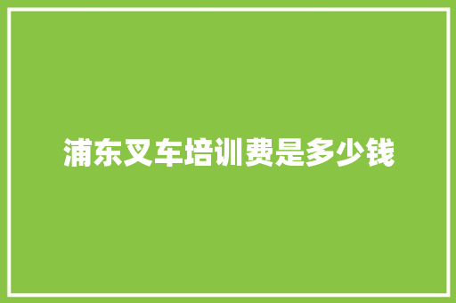 浦东叉车培训费是多少钱