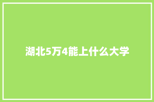湖北5万4能上什么大学