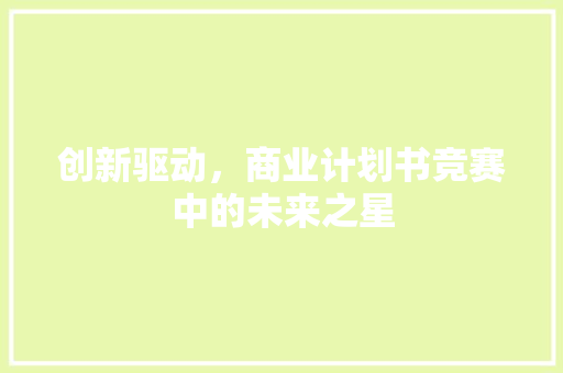 创新驱动，商业计划书竞赛中的未来之星