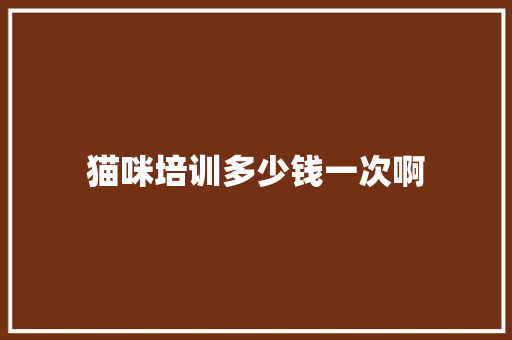 猫咪培训多少钱一次啊