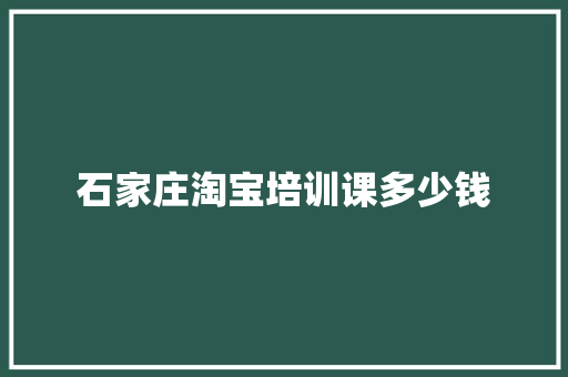石家庄淘宝培训课多少钱
