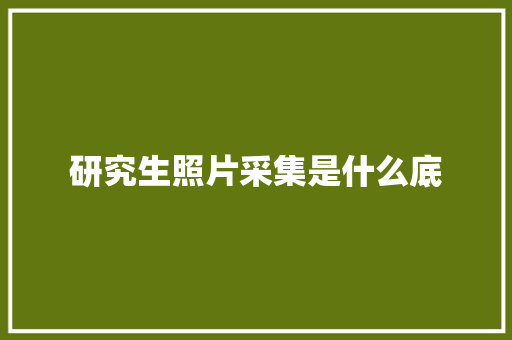 研究生照片采集是什么底