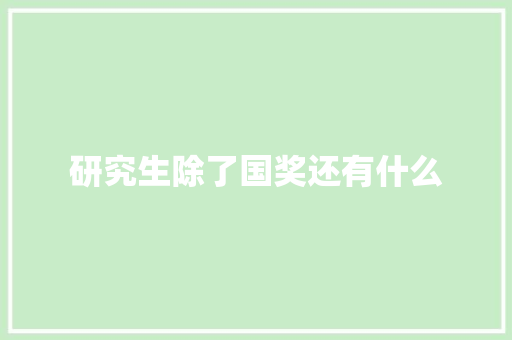研究生除了国奖还有什么