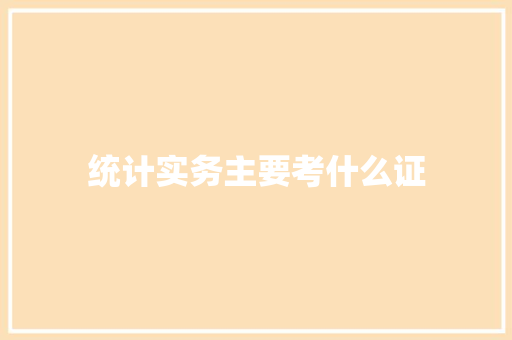 统计实务主要考什么证