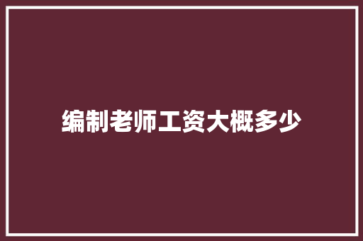 编制老师工资大概多少
